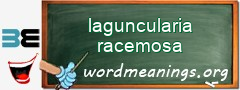 WordMeaning blackboard for laguncularia racemosa